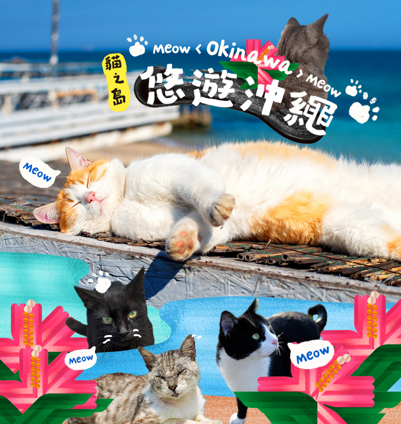 悠遊沖繩５日